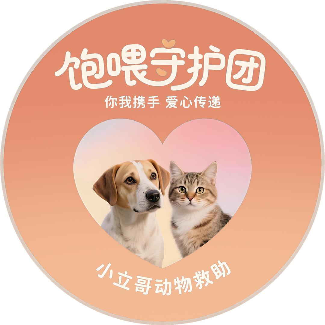 饱喂守护团（小立哥）