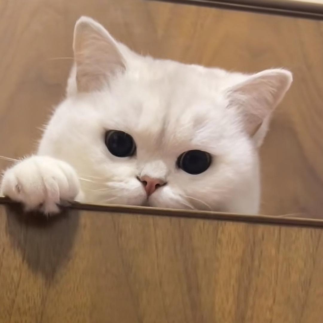 玉 玊