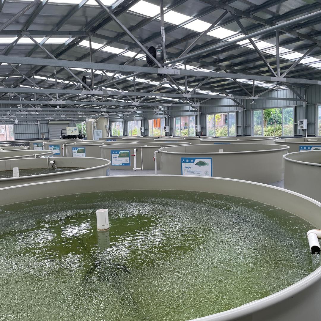 智慧工厂化循环水养殖