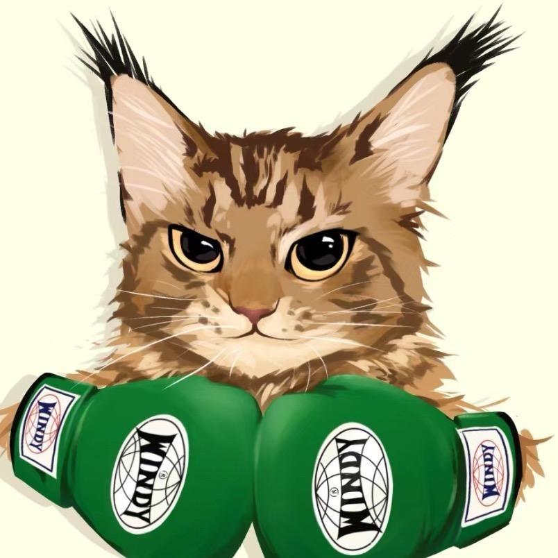 阿鸿搏击装备店（看主页）