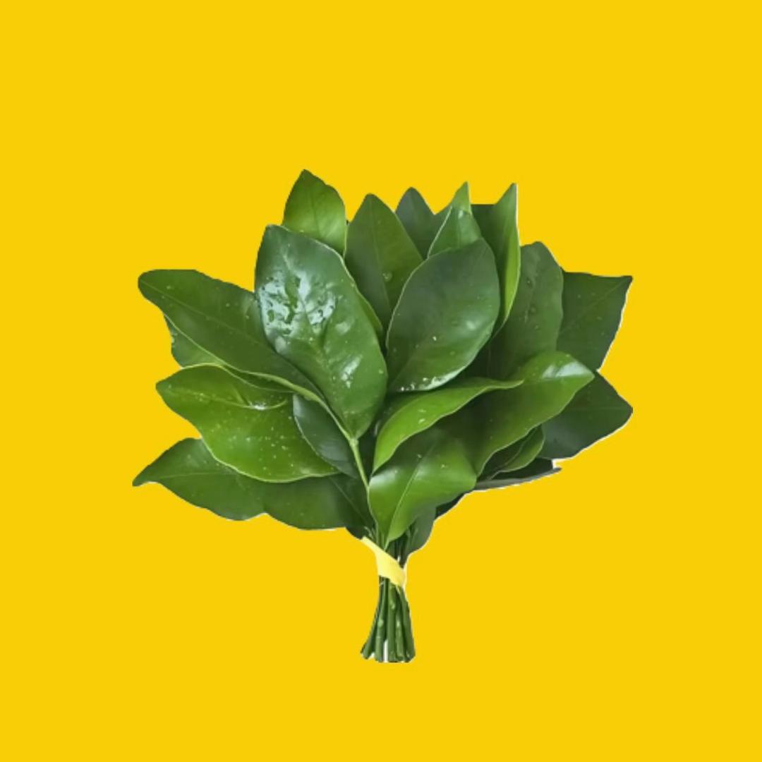 🌙✨🚣‍♂️