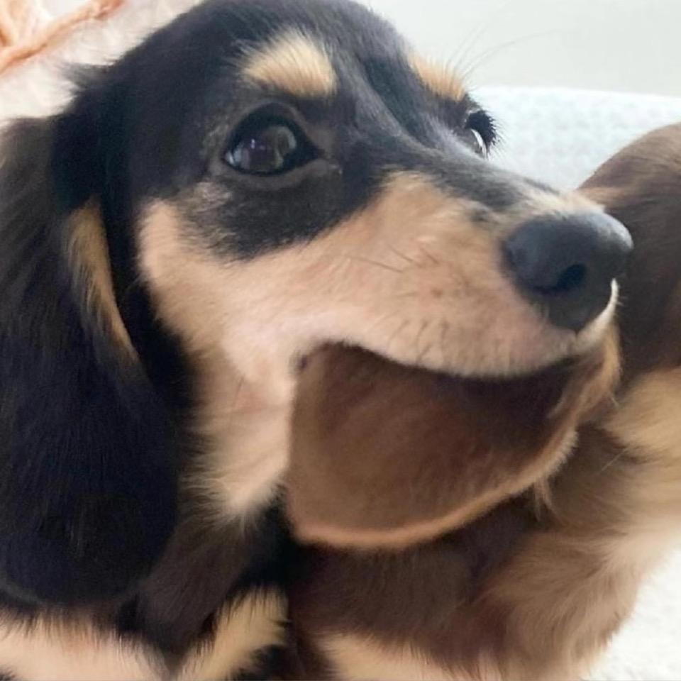 独角戏