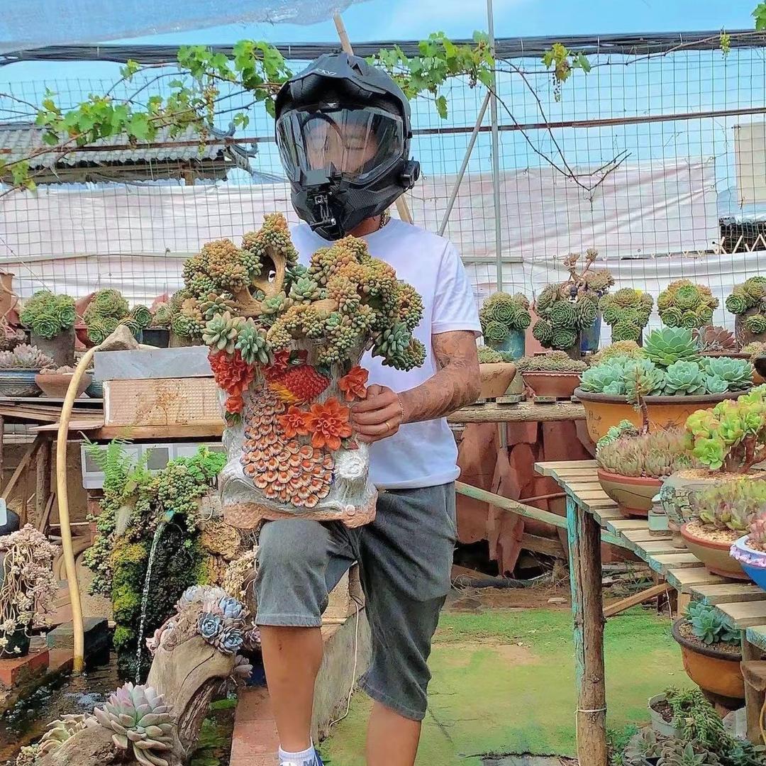 晨晨多肉花园