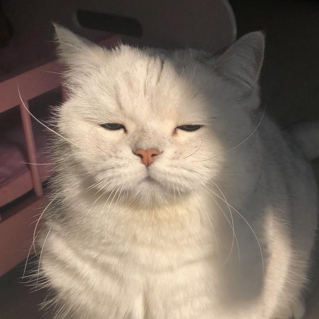 酱紫啊