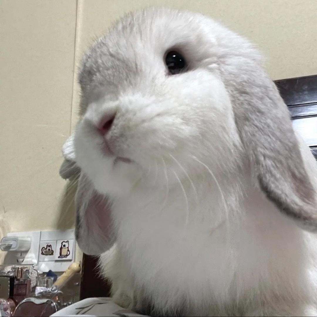 为什么晚上总是有星星