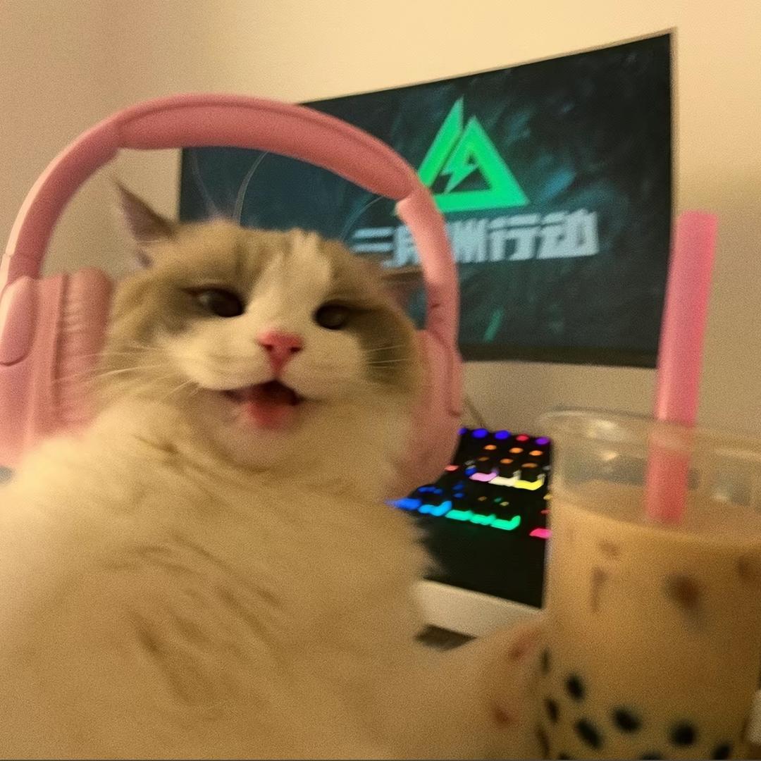 荔枝小于