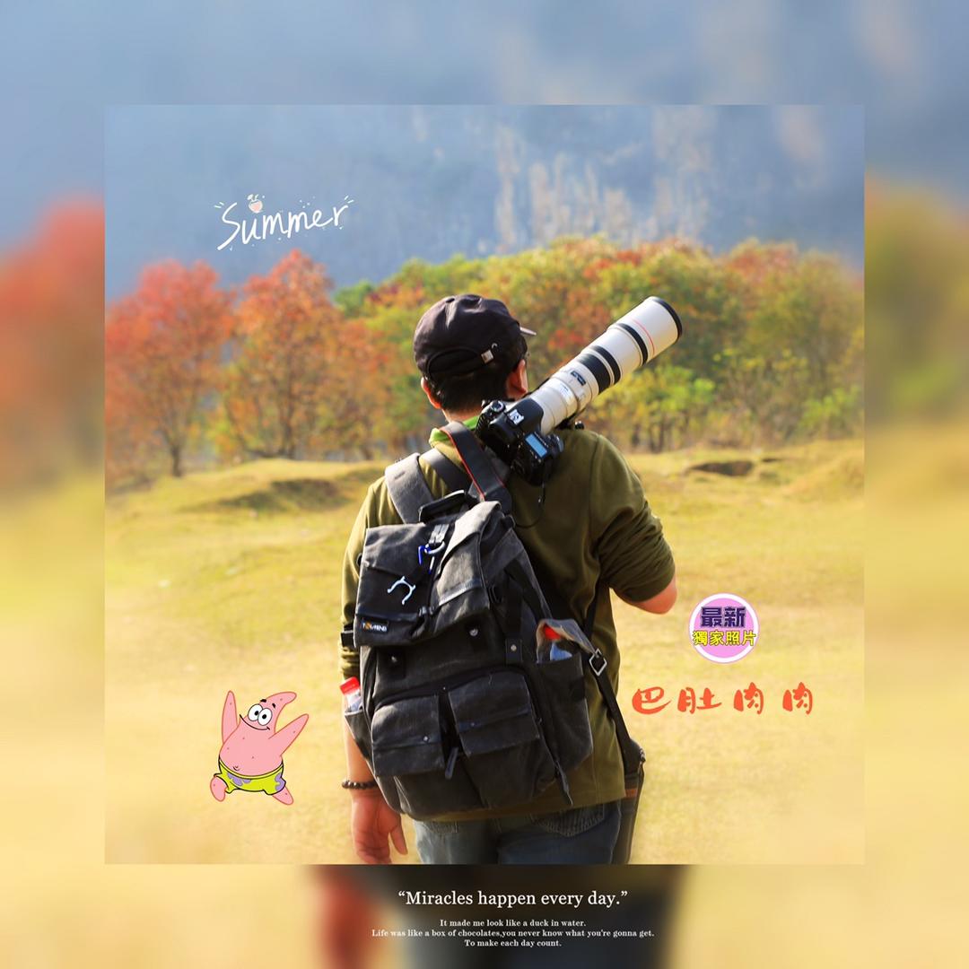 鸟儿摄影