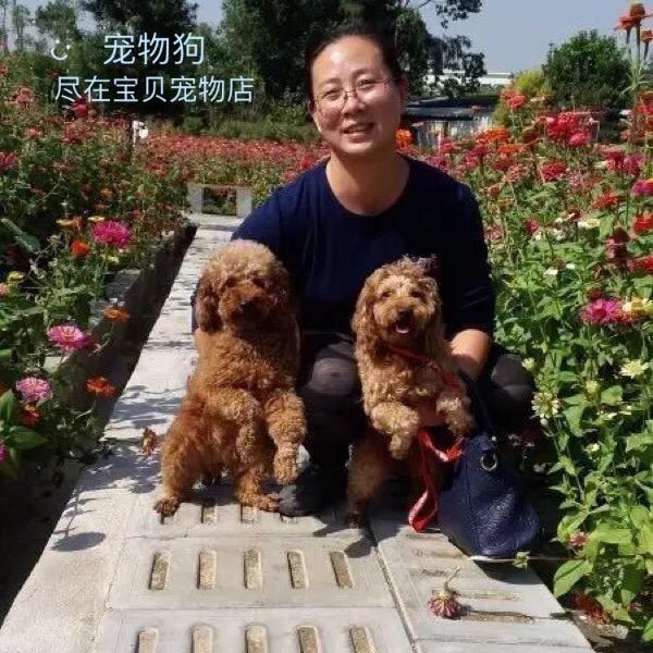 莱绿宠医药