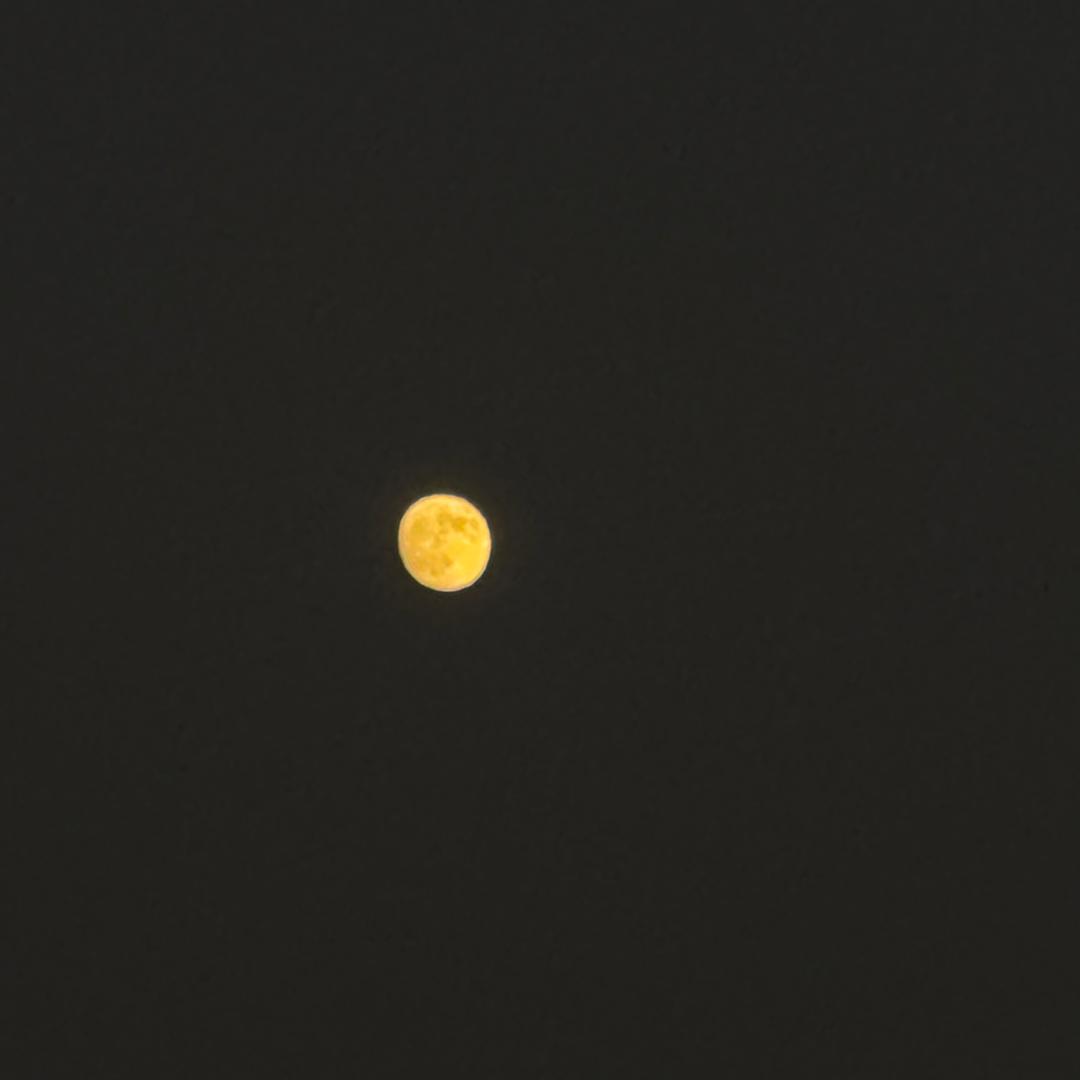 💡