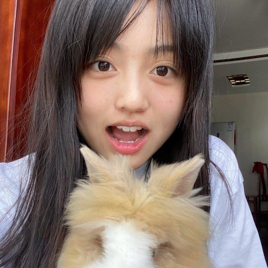 多加芒果