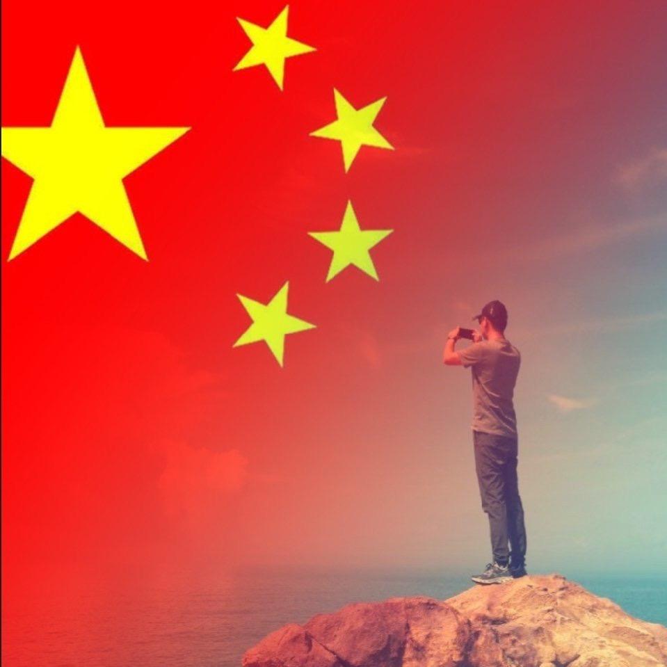 琴投意合