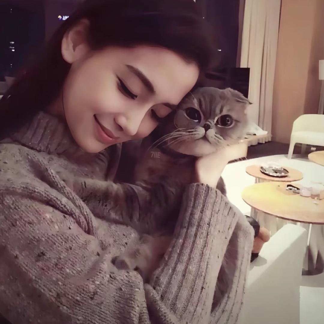 小羊苏恩