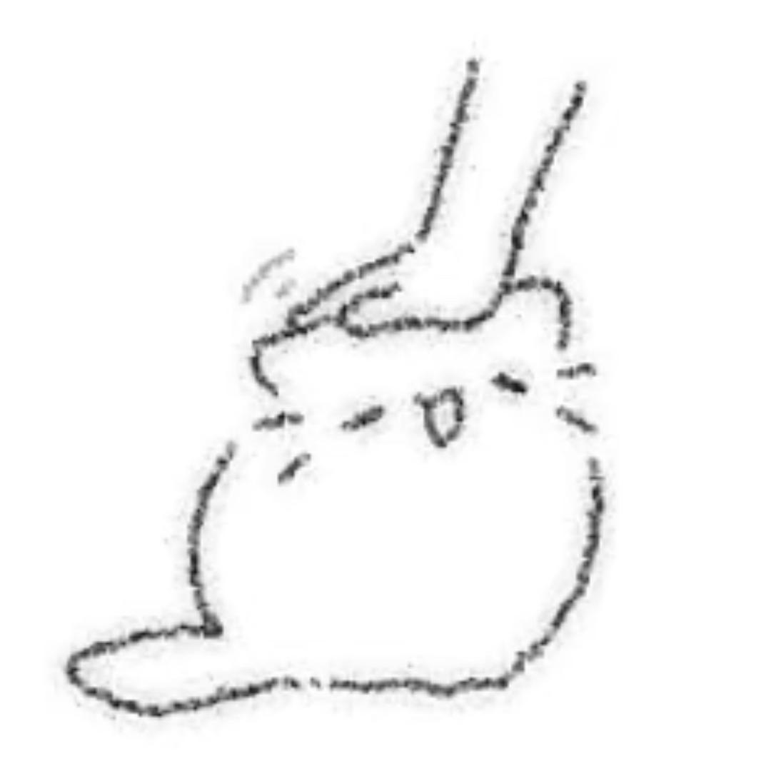 caTvT