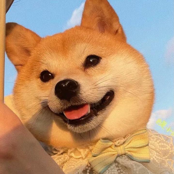今天有点困儿