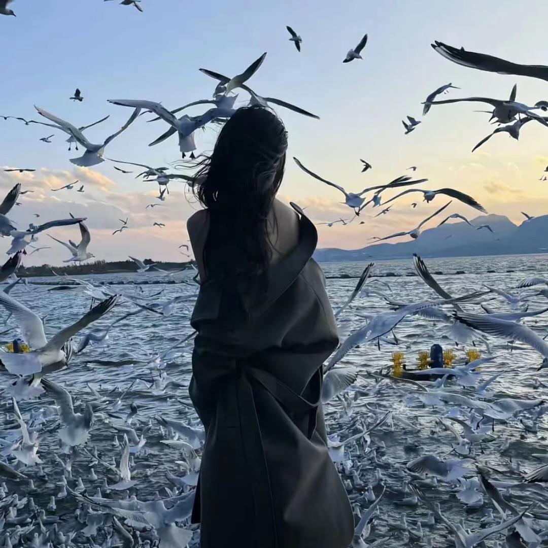 ⁵²小十一-₆₆