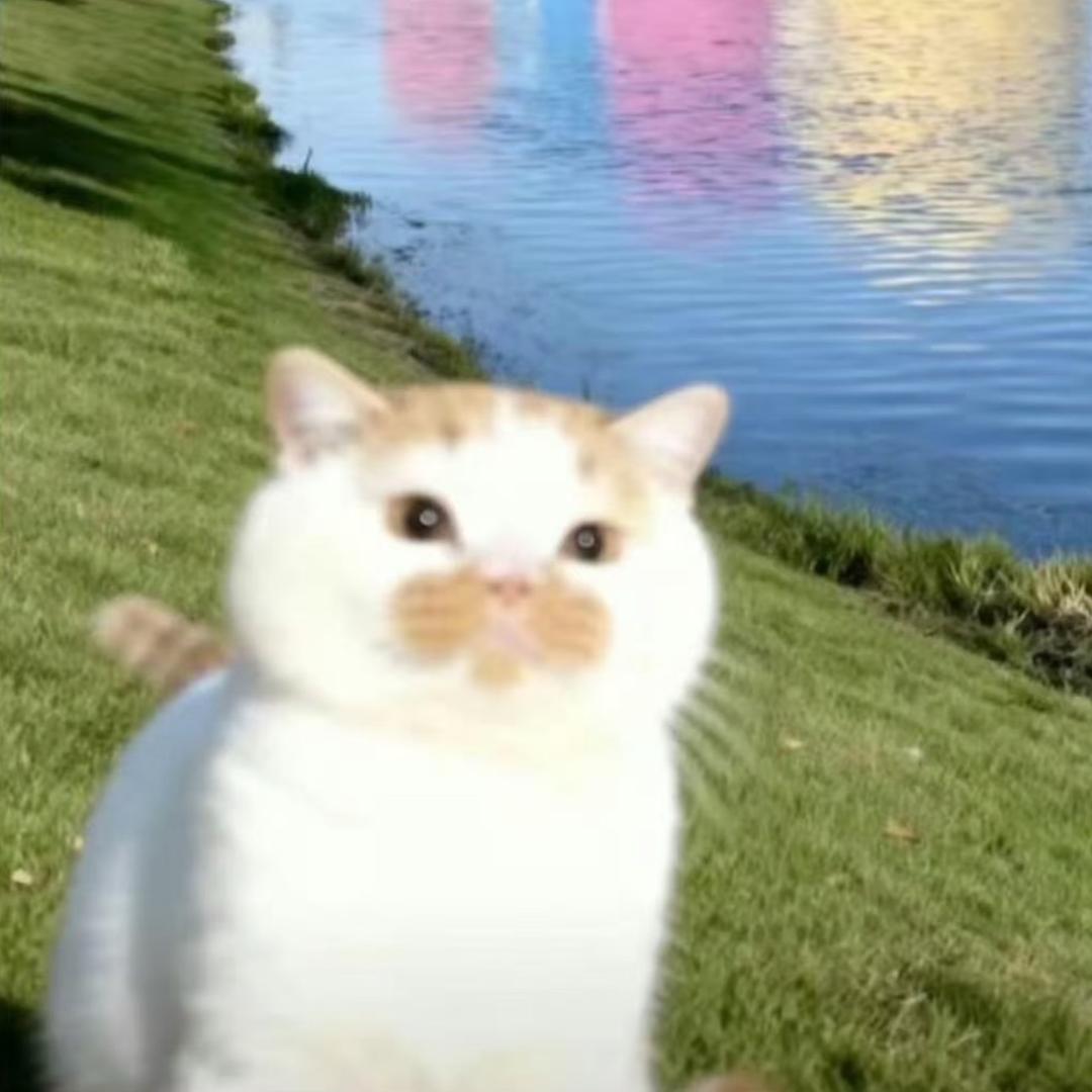 发财蛋挞ꉂ ･ ･ ☆