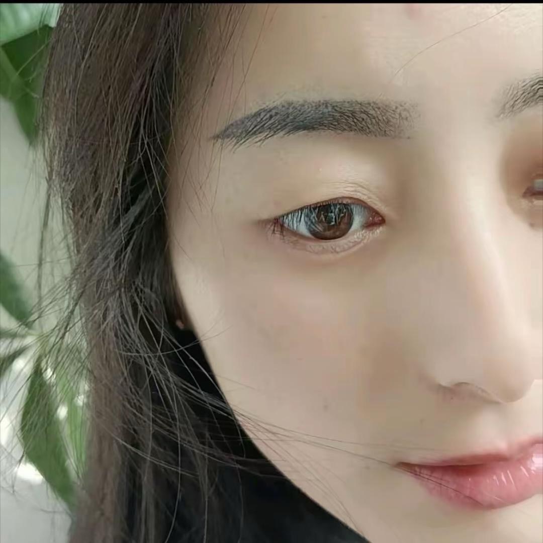 苦菊（无依无靠）