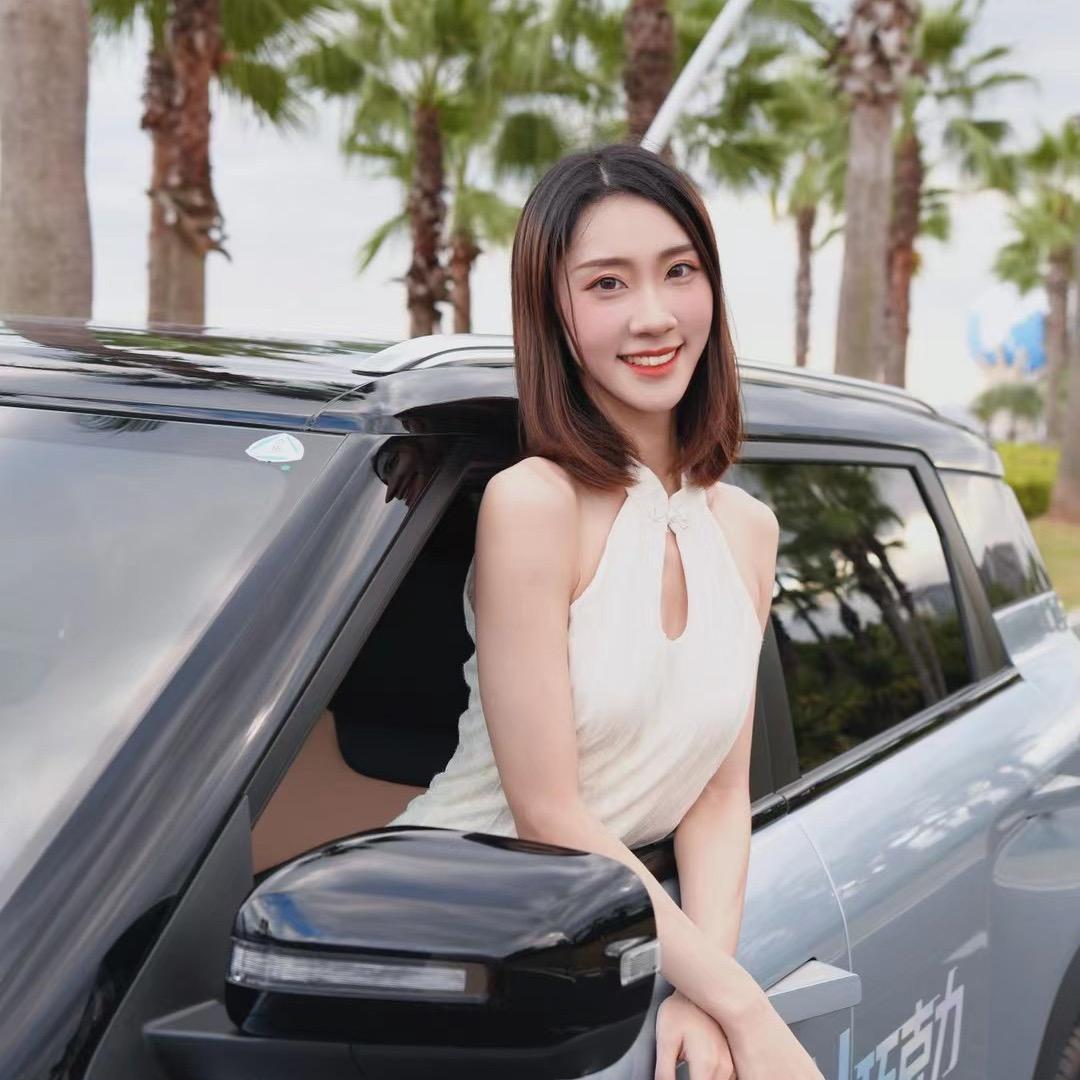十万说车