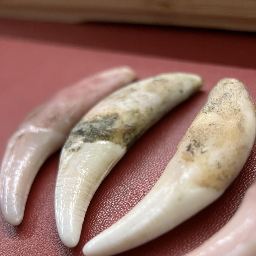 琅轩黑狗牙骨角手工编织饰品