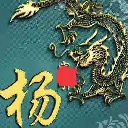 四川宜宾兴文杨飞