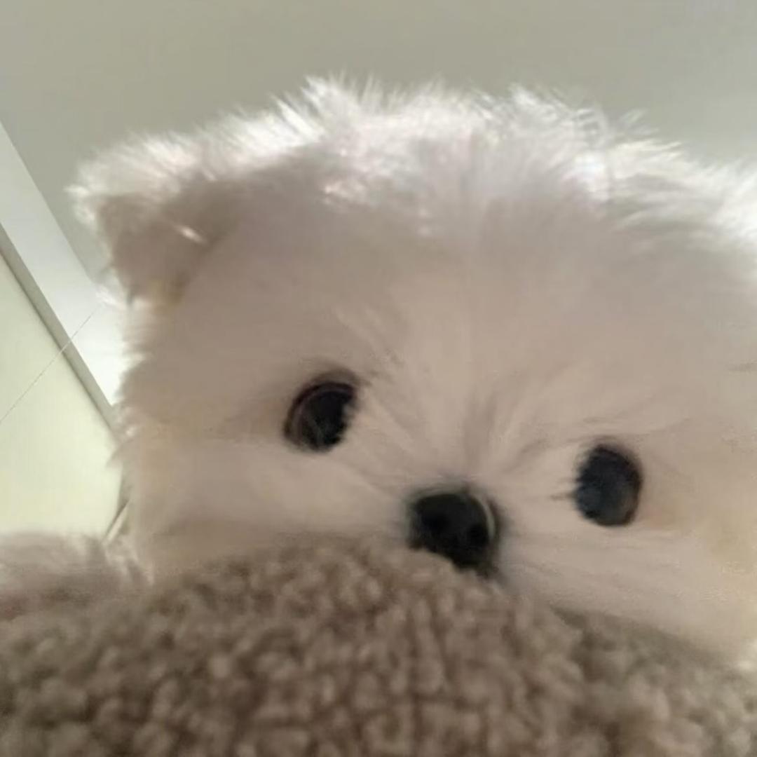 璐小小ú