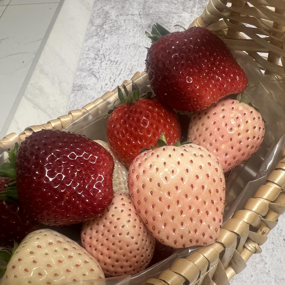 味鲜道食品坊