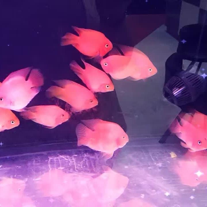 南大峪好物推荐