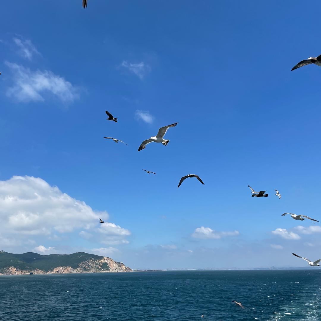 马小白