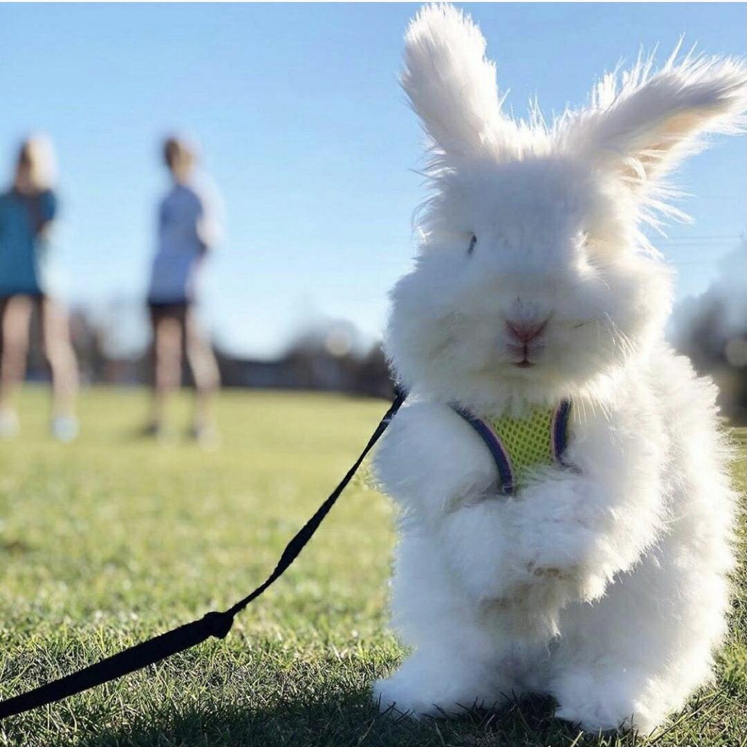 微笑就是超能力