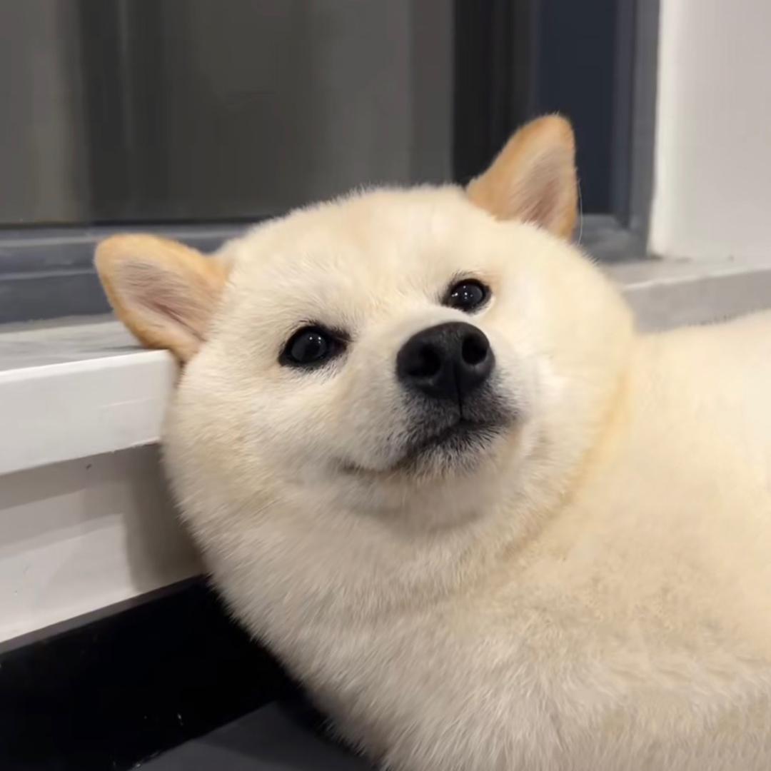 吹向山顶的风