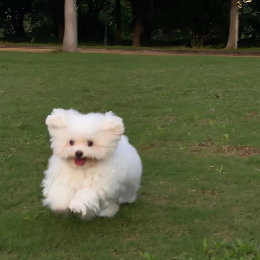 小派母婴