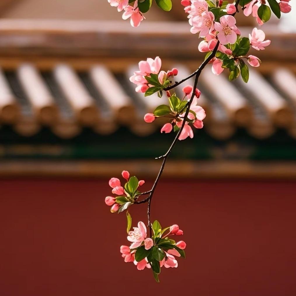 玄虚-尘埃
