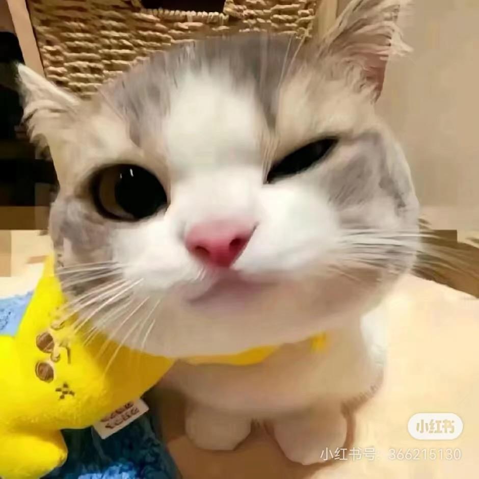 阳Y.