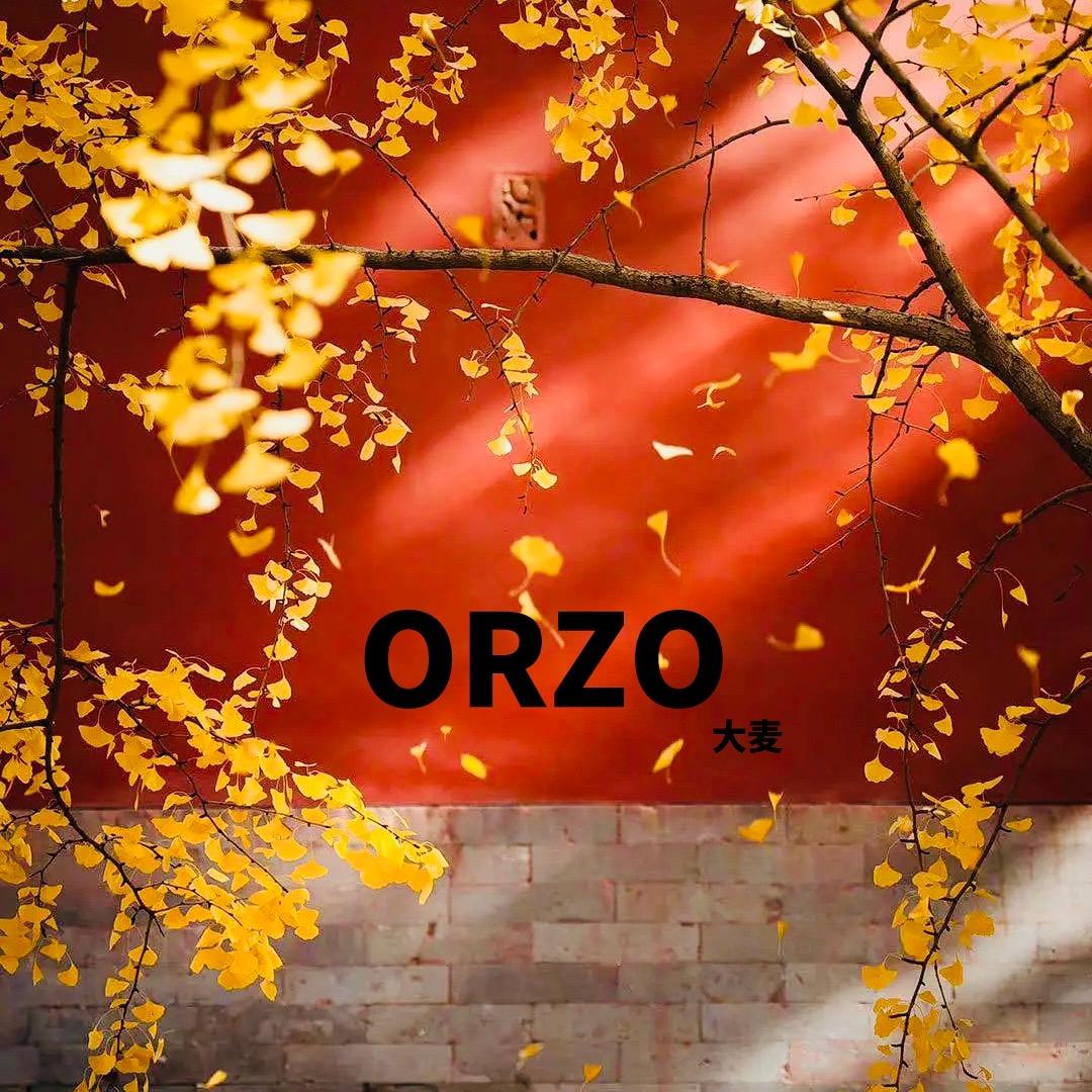 ORZO