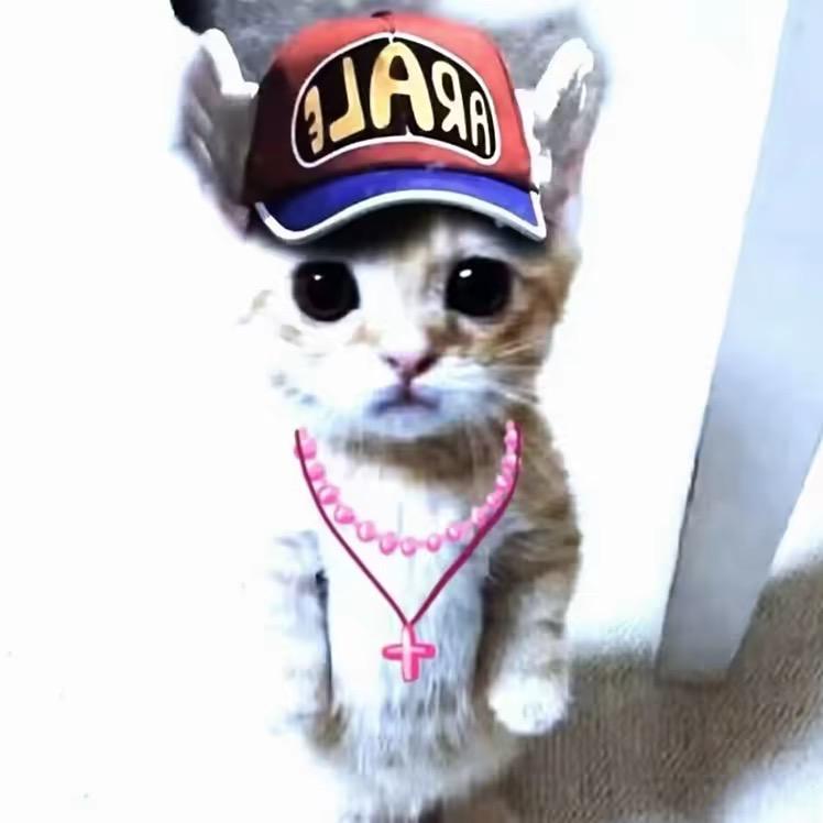 菲菲不是肥罒ω罒