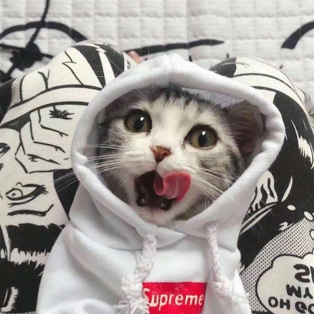 风特