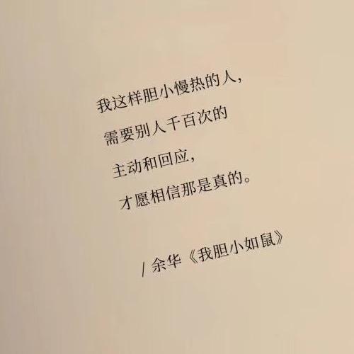 我为天津扛大旗