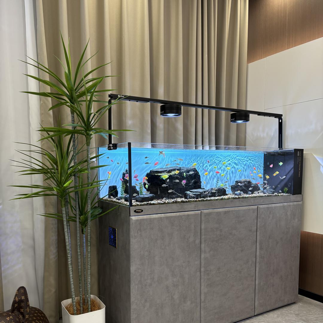 汉霸宠物旗舰店臻品汇