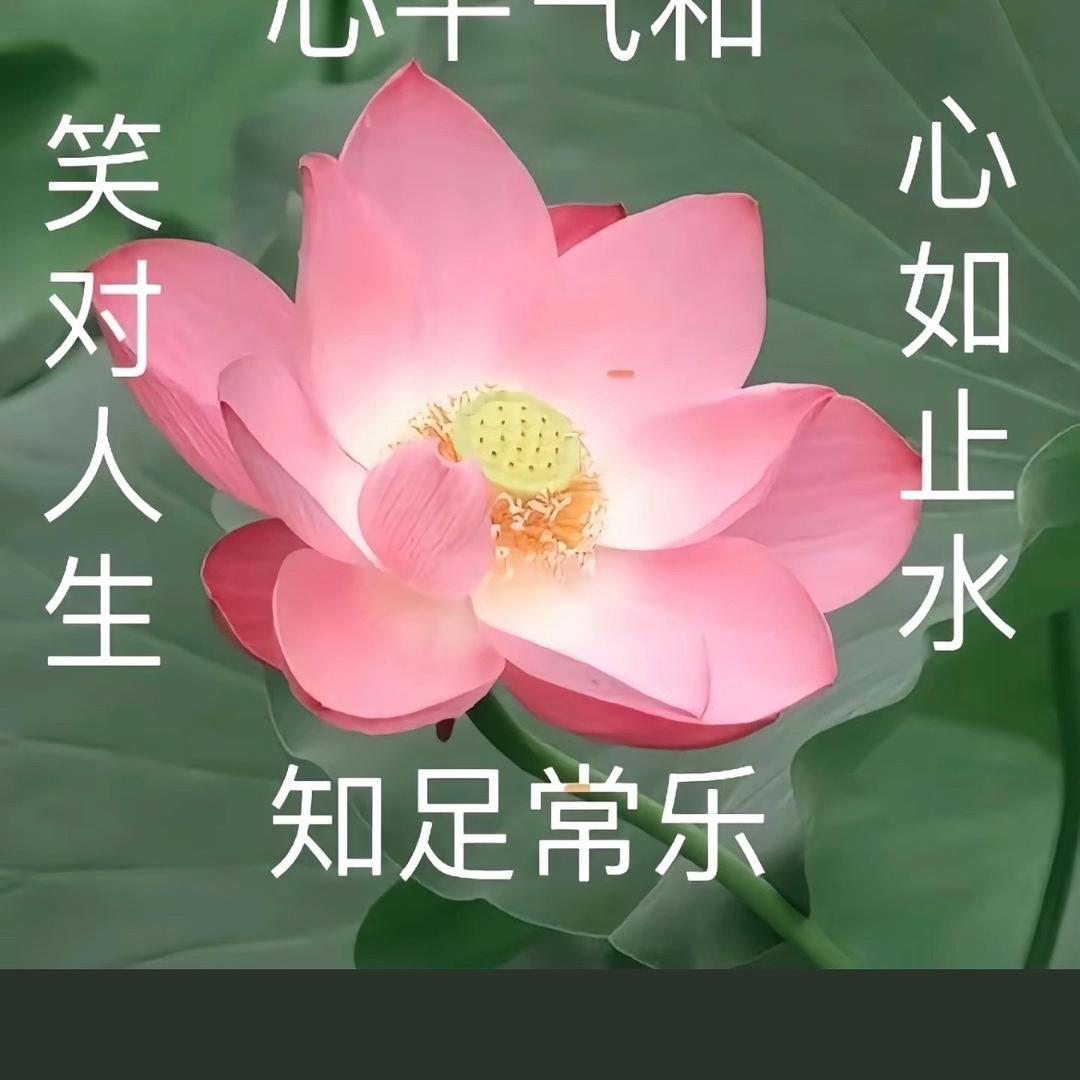 尔等逆子