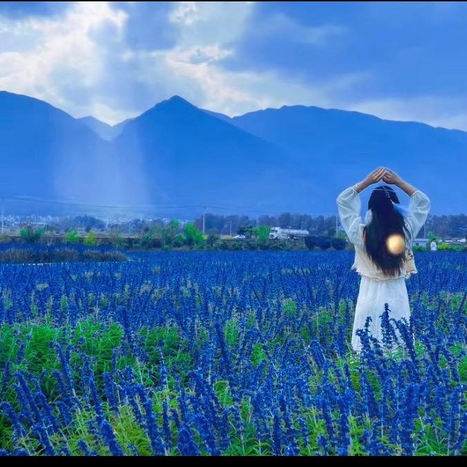 丹炉山 见