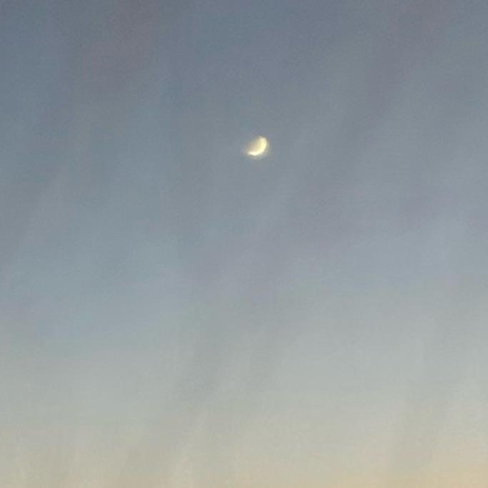 颜夏梦