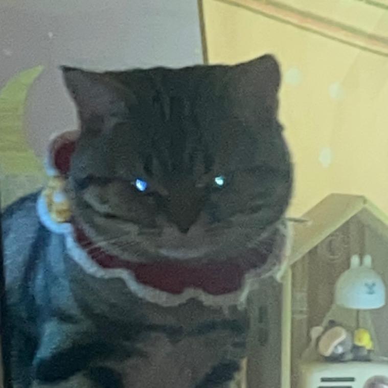 手机用户66743644007