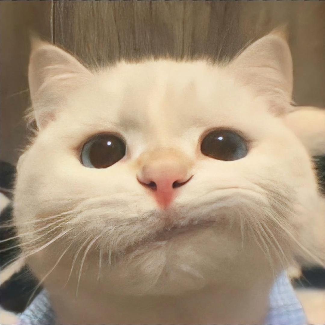 就是爱吃