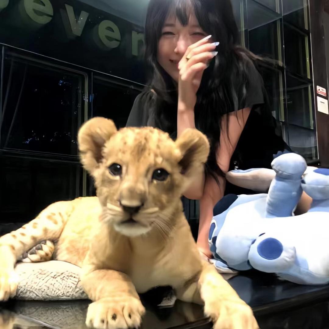 ᳐ 艾小雨 ᳐੭