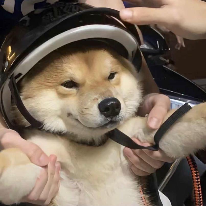 只属于你的小帅