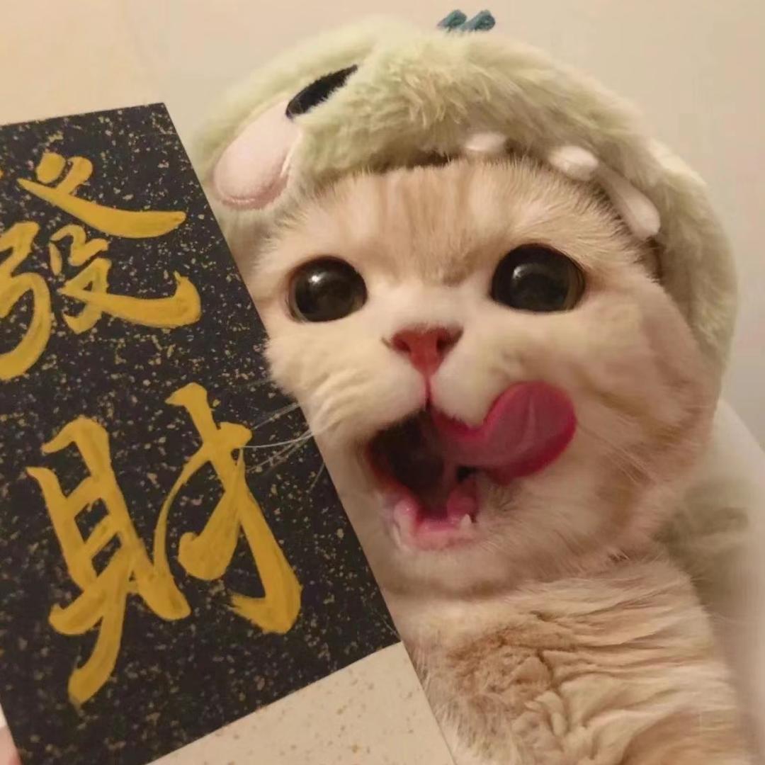 双下巴饭饭🧀（稿费版