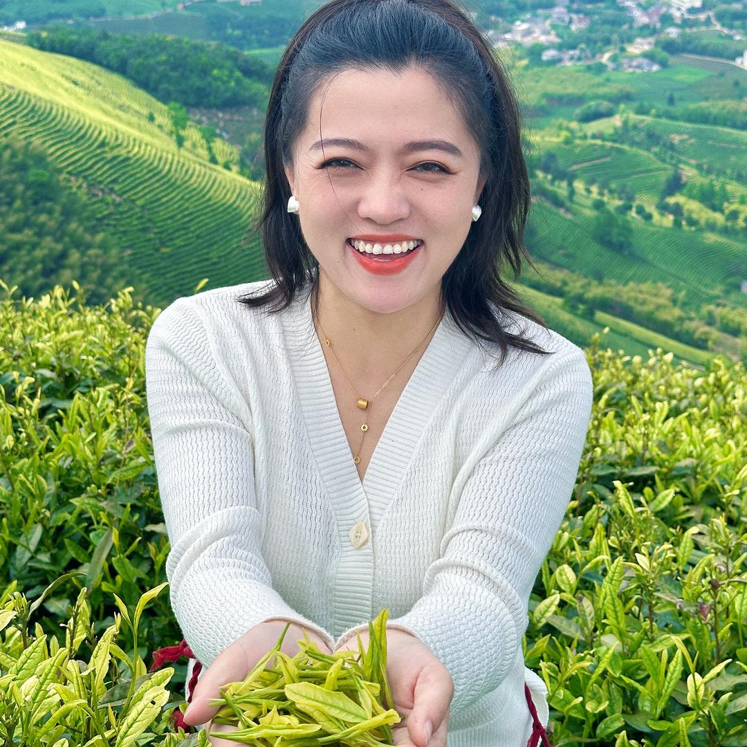勤叶安吉白茶