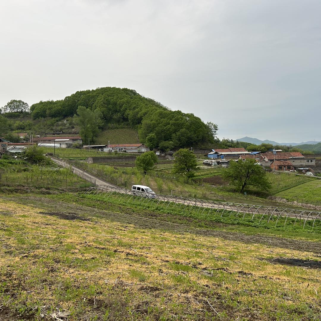 小山村滋补专营店