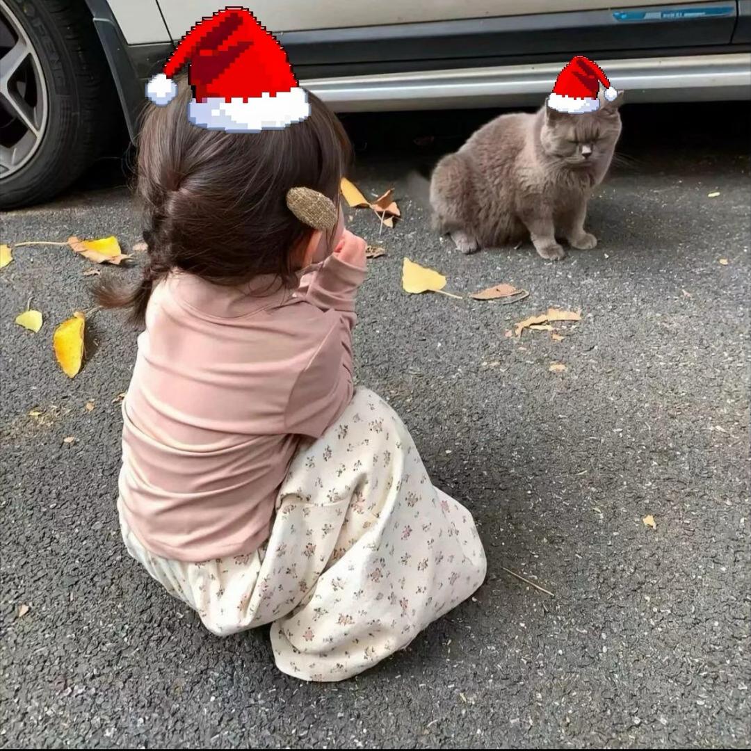 念旧小烤鱼𖦹.𖦹
