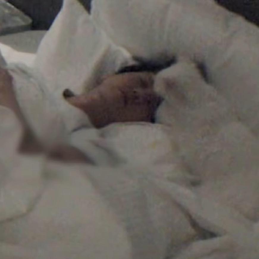 FANS OF NIGHT 小冉